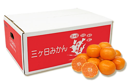 まろやかな味わい【早生】三ヶ日みかん 3.2㎏