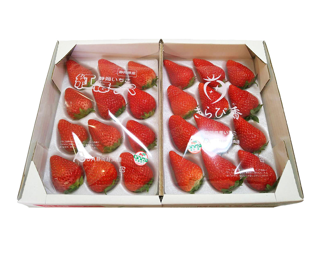 静岡いちご 食べ比べ