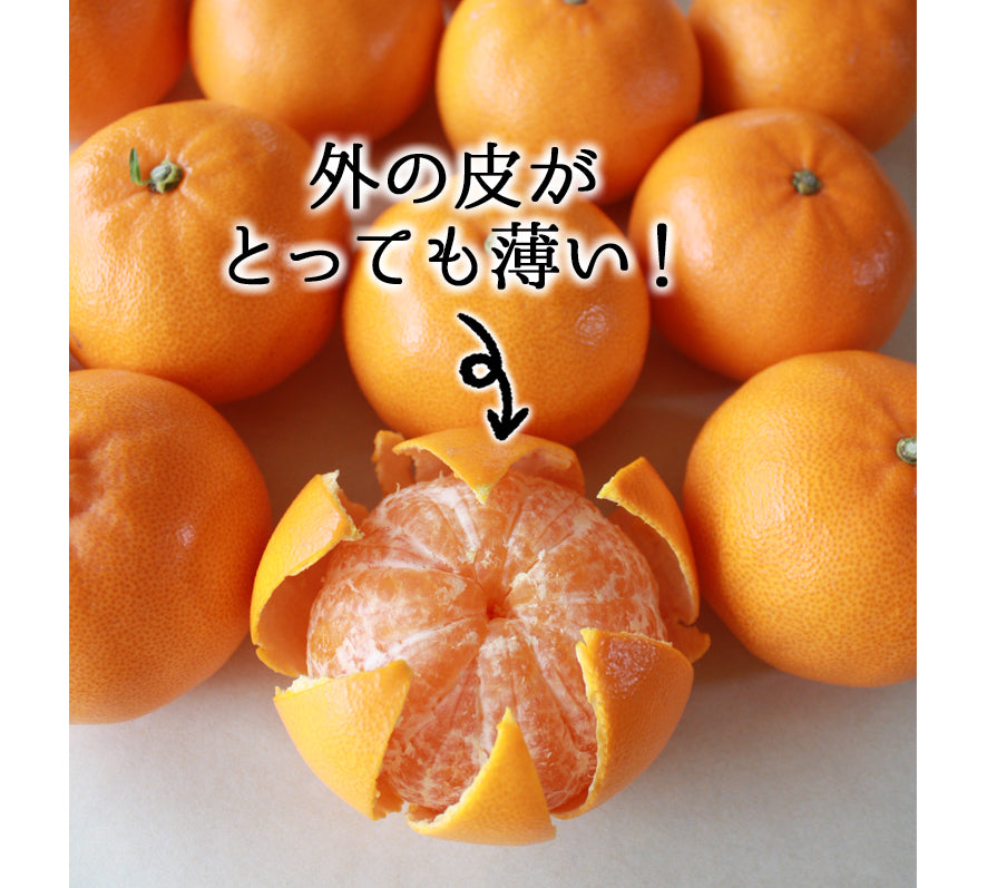 せとか
