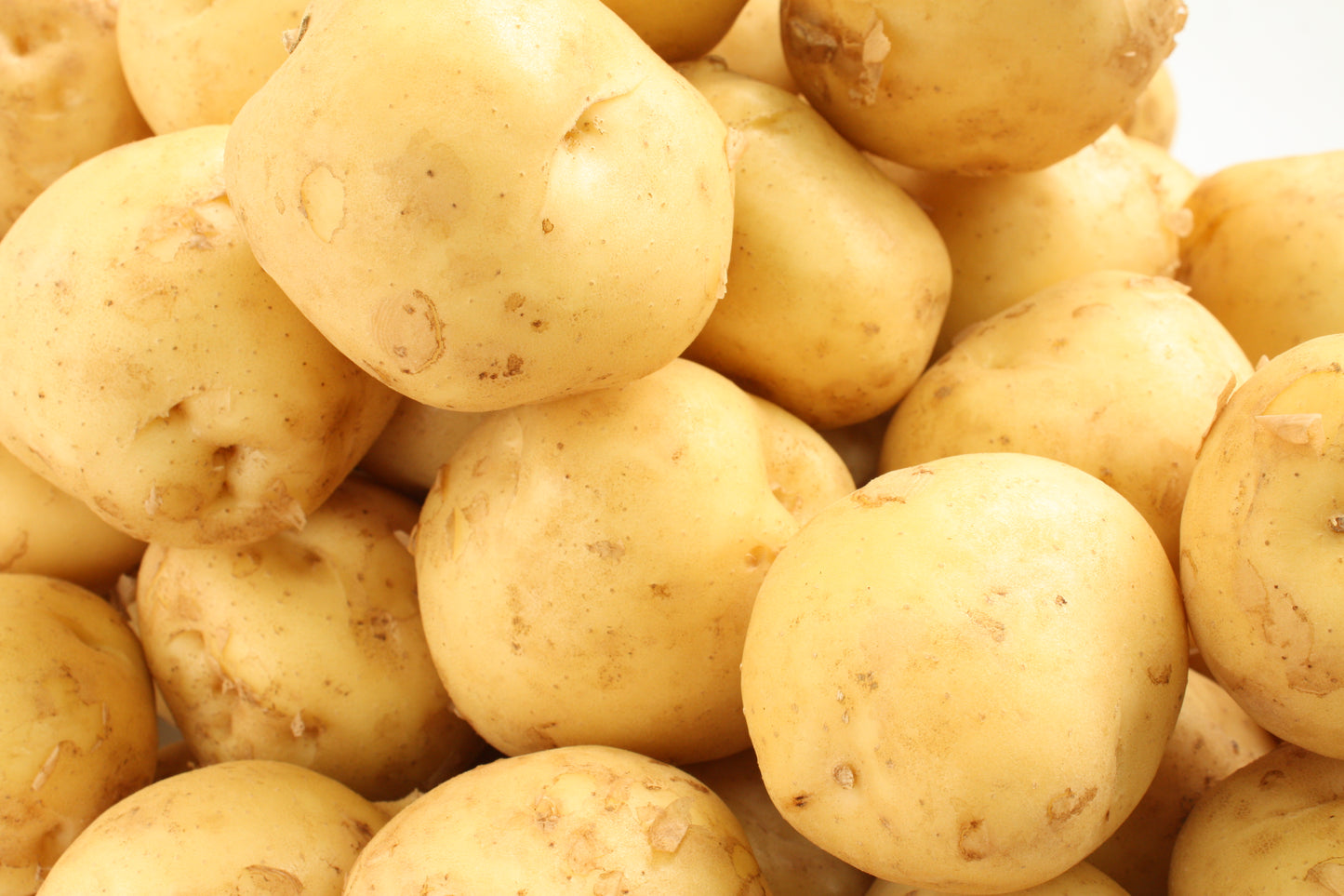 三方原 新じゃがいも 3kg