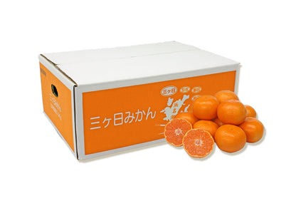 【青島】三ヶ日みかん 2.3kg 早割 予約受付中！お届けは12月下旬～