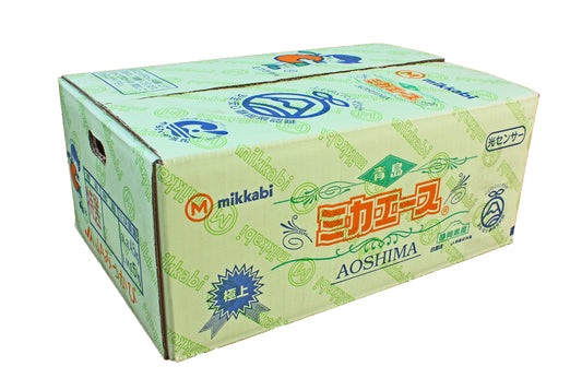 【青島】三ヶ日みかんミカエース