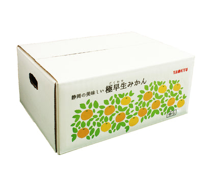 【極早生】ゆらみかん2.1㎏ ◆早割◆ 予約受付中！