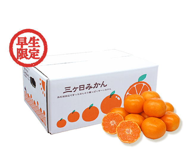 【早生】三ヶ日みかん 2.1kg