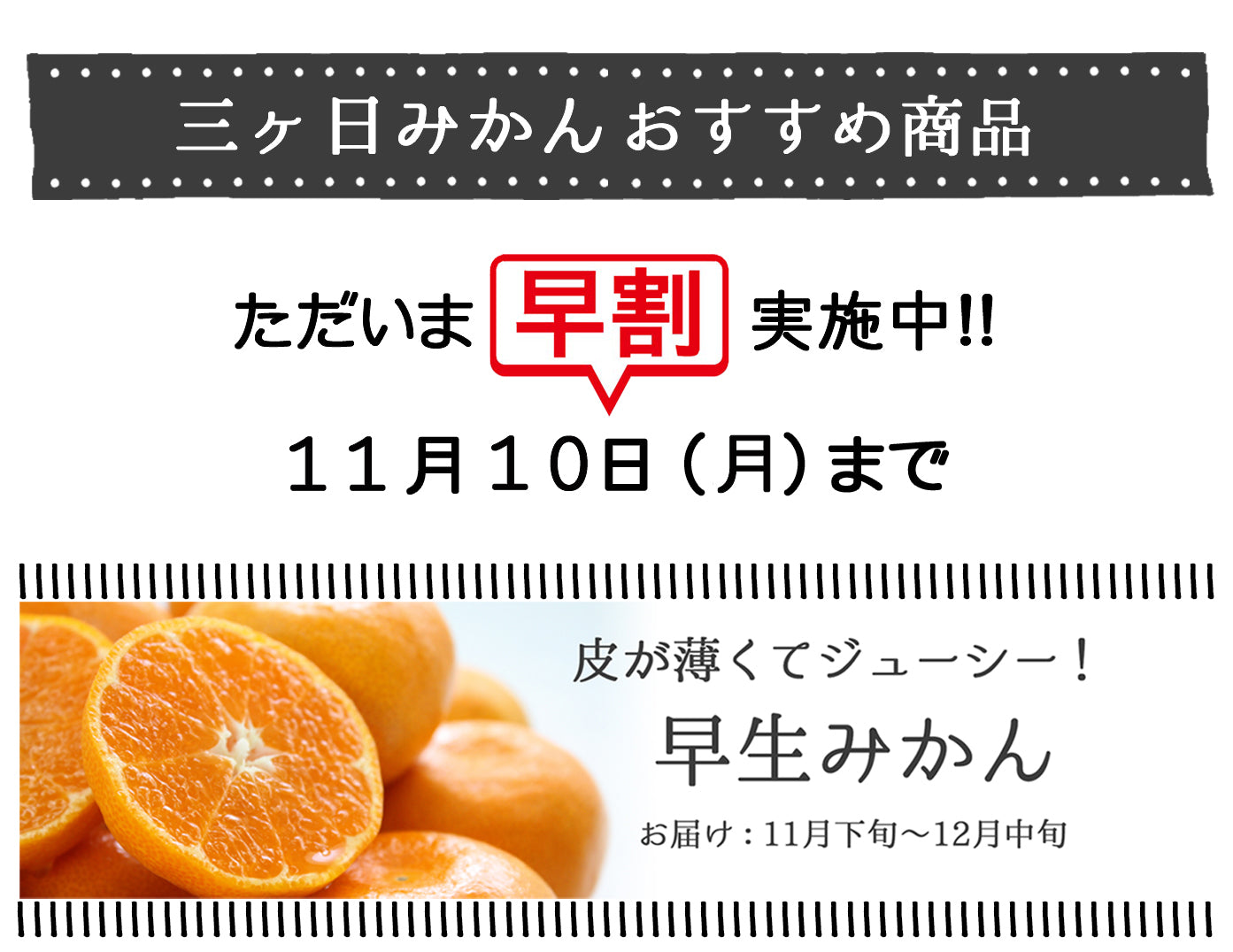 三ヶ日みかんLP – 八百久青果ネットショップ