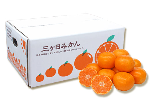 【皮が薄くて食べやすい！早生】三ヶ日みかん 2.3kg