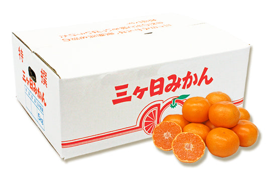 【青島】三ヶ日みかん 4kg