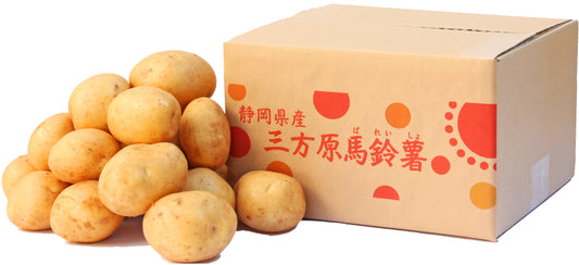 三方原 新じゃがいも 3kg