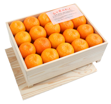 【青島】三ヶ日みかん  手詰め木箱入
